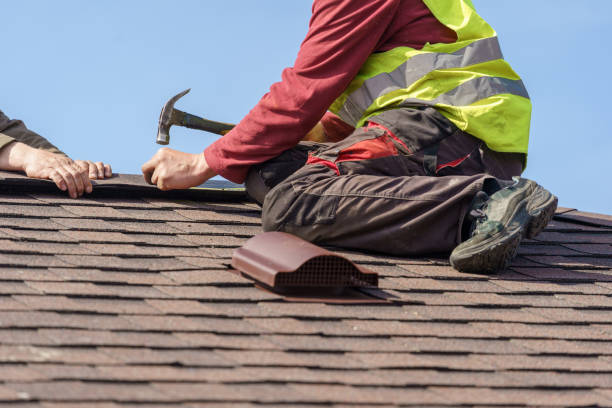 Best Gutter Installation and Roofing  in Tanaina, AK