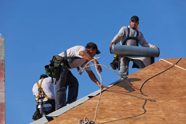 Best Commercial Roofing Services  in Tanaina, AK
