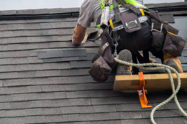 Best Storm Damage Roof Repair  in Tanaina, AK