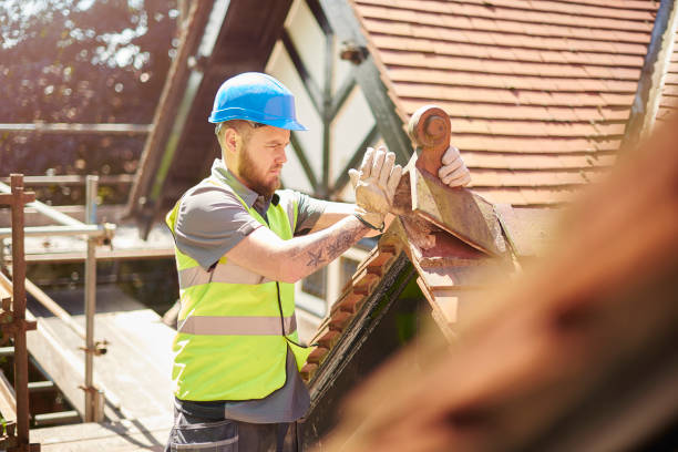 Best Shingle Roofing Installation  in Tanaina, AK
